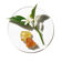 CLINIQUE   AROMAT.WHITE  EDPV 50ML